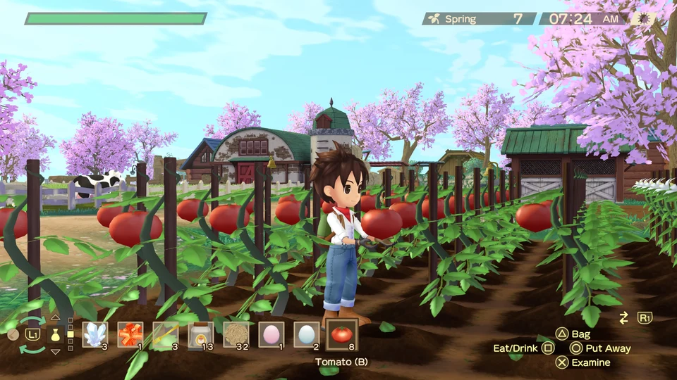 Игровой кадр 5 из Story of Seasons: A Wonderful Life