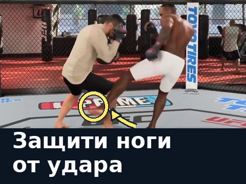 Боец слева приподнимает согнутую ногу и блокирует лоу-кик; выделено место контакта.