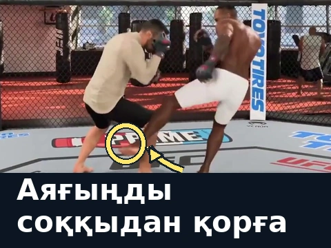 Сол жақтағы файтер аяғын сәл көтеріп, лоу-кикті бөгейді; жанасқан жері белгіленген.
